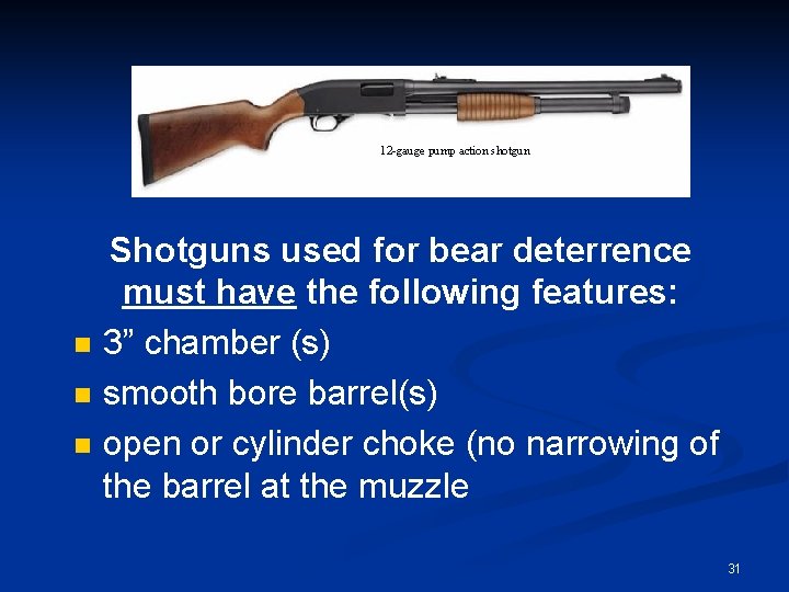 12 -gauge pump action shotgun n Shotguns used for bear deterrence must have the