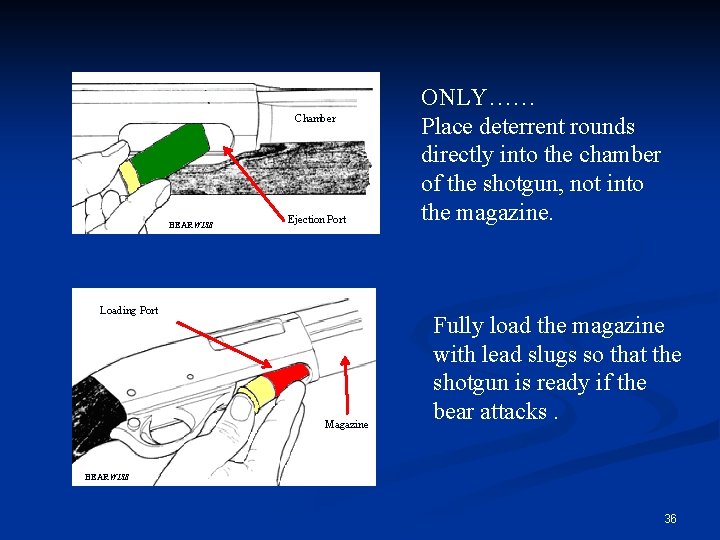 Chamber BEARWISE Ejection Port ONLY…… Place deterrent rounds directly into the chamber of the