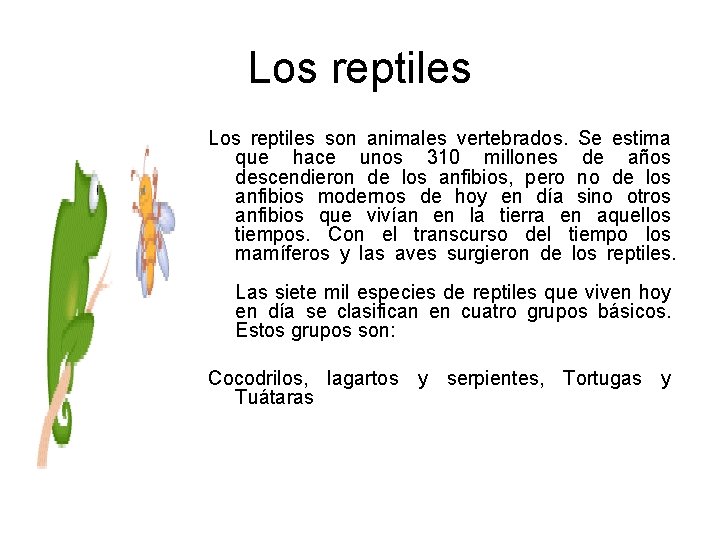 Los reptiles son animales vertebrados. Se estima que hace unos 310 millones de años