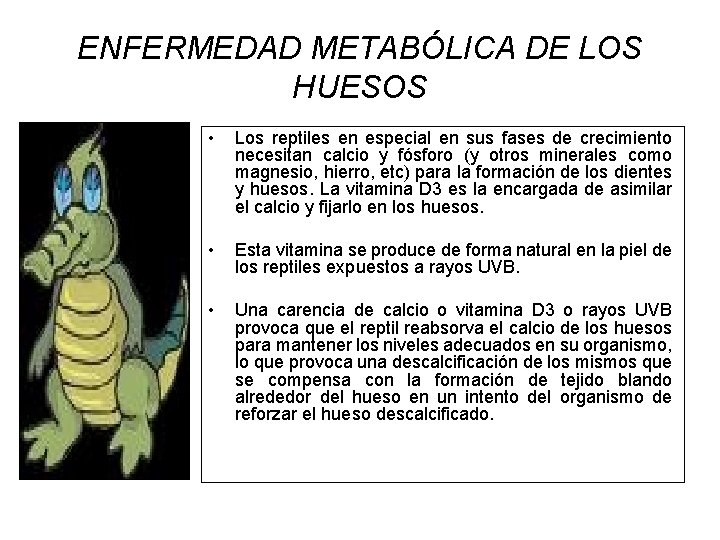 ENFERMEDAD METABÓLICA DE LOS HUESOS • Los reptiles en especial en sus fases de