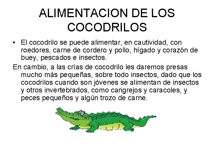 ALIMENTACION DE LOS COCODRILOS • El cocodrilo se puede alimentar, en cautividad, con roedores,