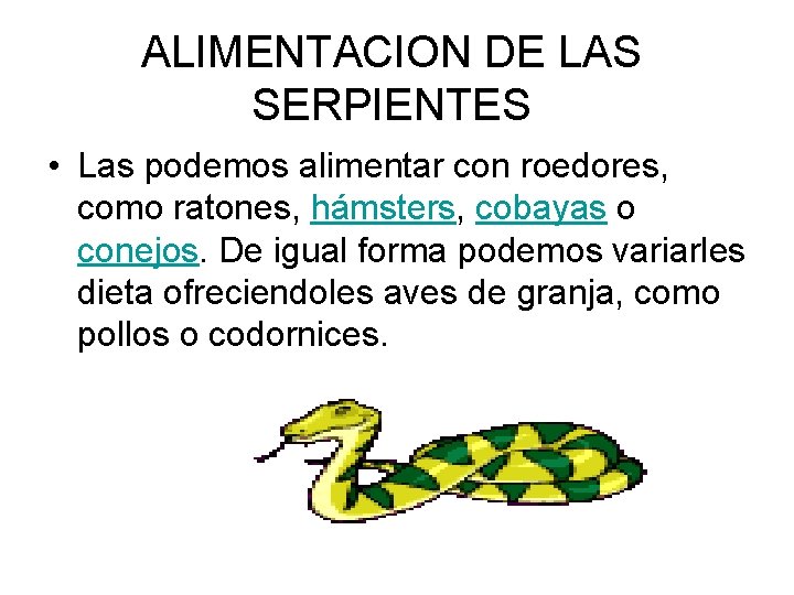 ALIMENTACION DE LAS SERPIENTES • Las podemos alimentar con roedores, como ratones, hámsters, cobayas