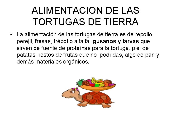 ALIMENTACION DE LAS TORTUGAS DE TIERRA • La alimentación de las tortugas de tierra