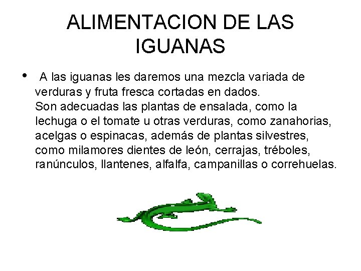 ALIMENTACION DE LAS IGUANAS • A las iguanas les daremos una mezcla variada de