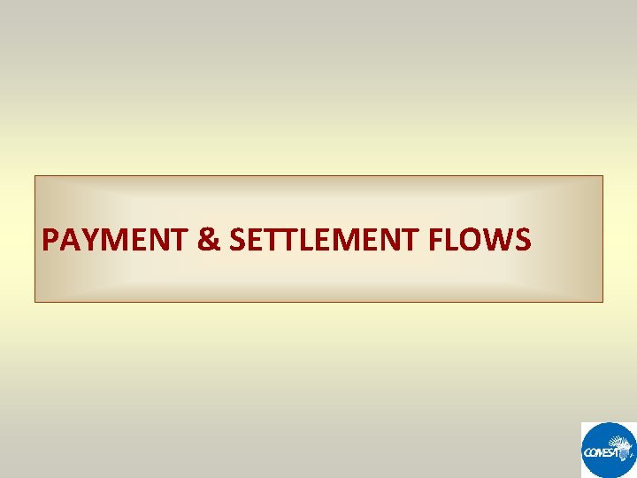 PAYMENT & SETTLEMENT FLOWS 