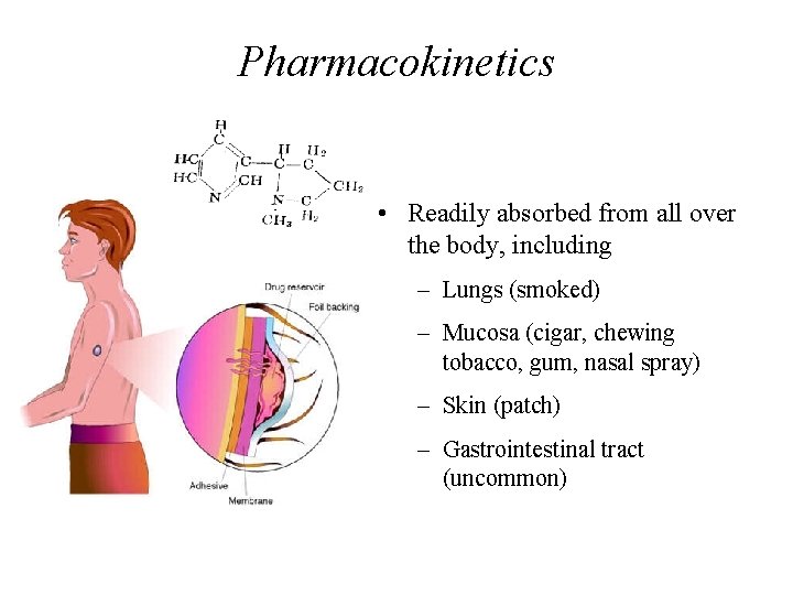 Pharmacokinetics • Readily absorbed from all over the body, including – Lungs (smoked) –