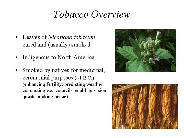 Tobacco Overview • Leaves of Nicotiana tobacum cured and (usually) smoked • Indigenous to