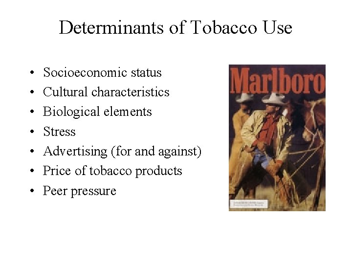 Determinants of Tobacco Use • • Socioeconomic status Cultural characteristics Biological elements Stress Advertising