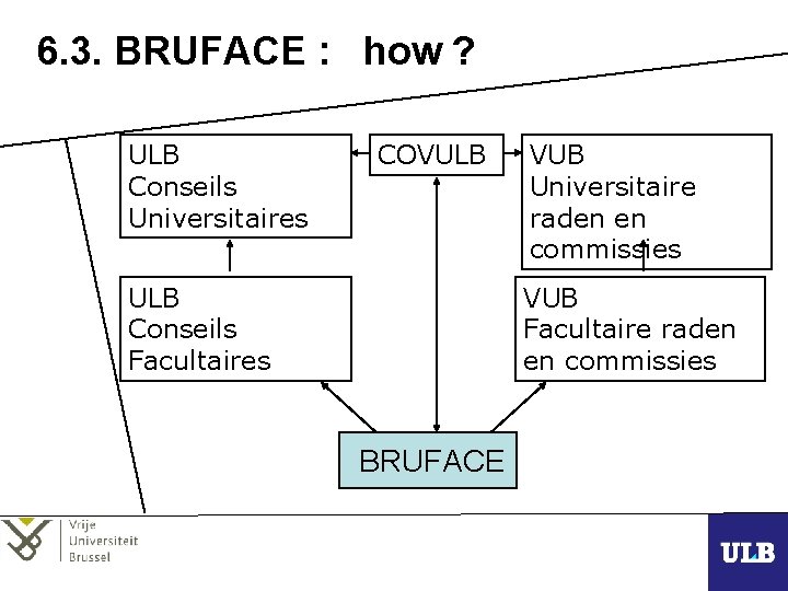 6. 3. BRUFACE : how ? ULB Conseils Universitaires COVULB Conseils Facultaires VUB Universitaire