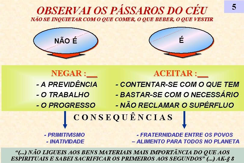 OBSERVAI OS PÁSSAROS DO CÉU 5 NÃO SE INQUIETAR COM O QUE COMER, O