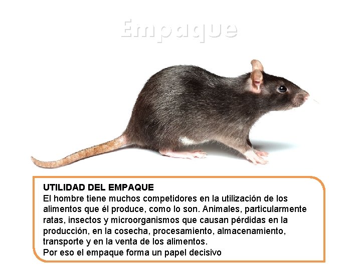 Empaque UTILIDAD DEL EMPAQUE El hombre tiene muchos competidores en la utilización de los