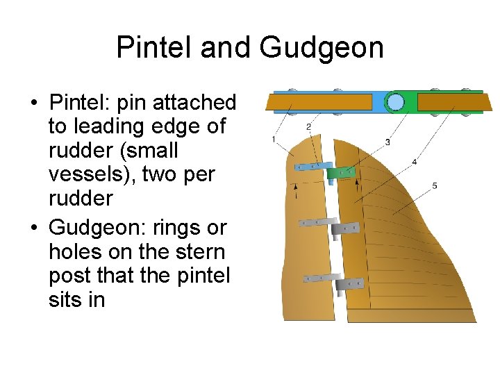 Pintel and Gudgeon • Pintel: pin attached to leading edge of rudder (small vessels),