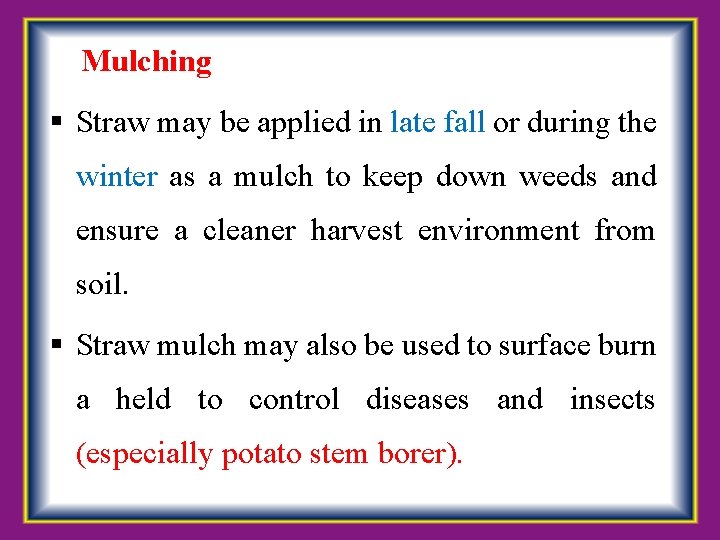  Mulching Straw may be applied in late fall or during the winter as