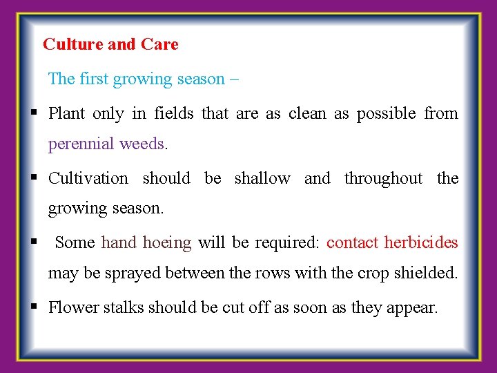Culture and Care The first growing season – Plant only in fields that are