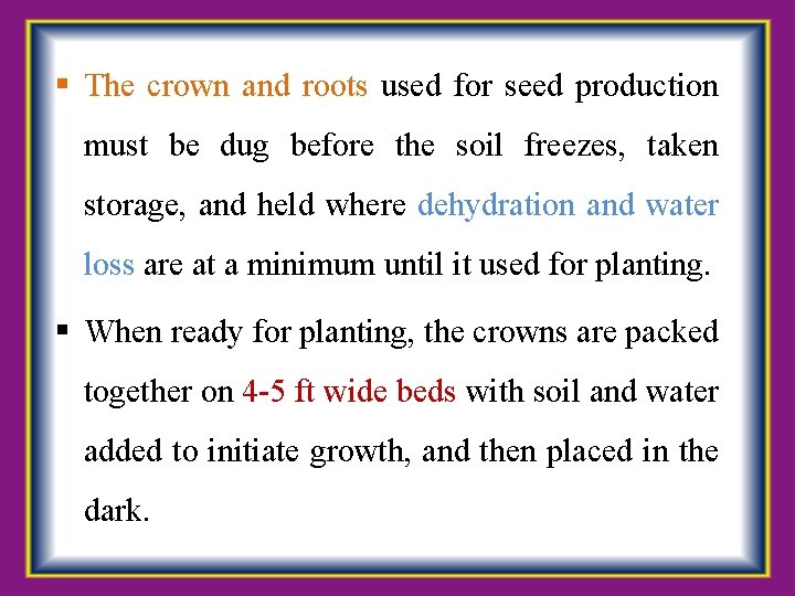  The crown and roots used for seed production must be dug before the