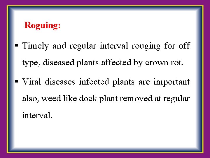  Roguing: Timely and regular interval rouging for off type, diseased plants affected by