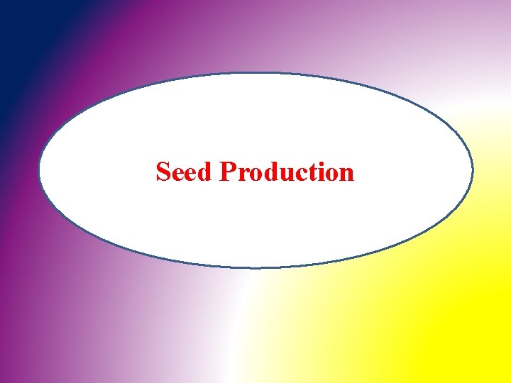 Seed Production 