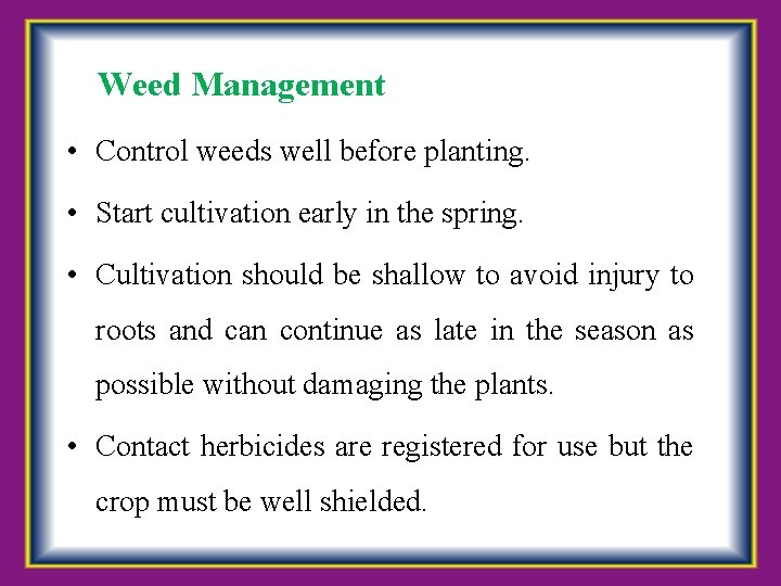 Weed Management • Control weeds well before planting. • Start cultivation early in the
