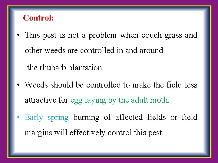  Control: • This pest is not a problem when couch grass and other