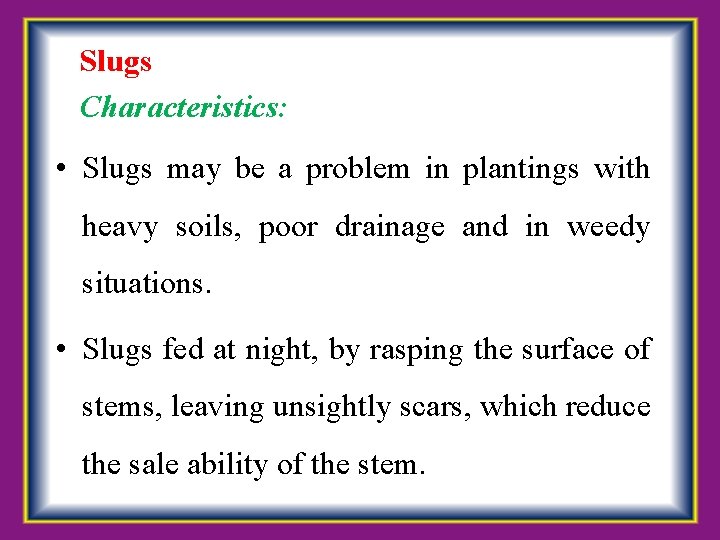  Slugs Characteristics: • Slugs may be a problem in plantings with heavy soils,