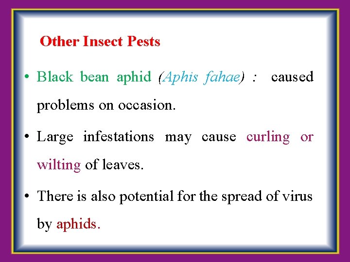 Other Insect Pests • Black bean aphid (Aphis fahae) : caused problems on occasion.