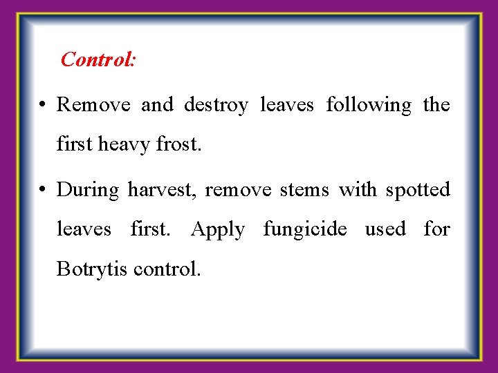 Control: • Remove and destroy leaves following the first heavy frost. • During harvest,