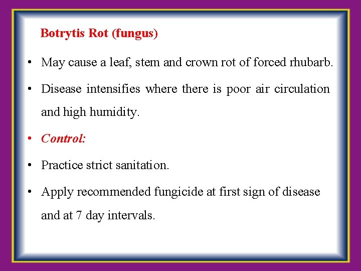  Botrytis Rot (fungus) • May cause a leaf, stem and crown rot of