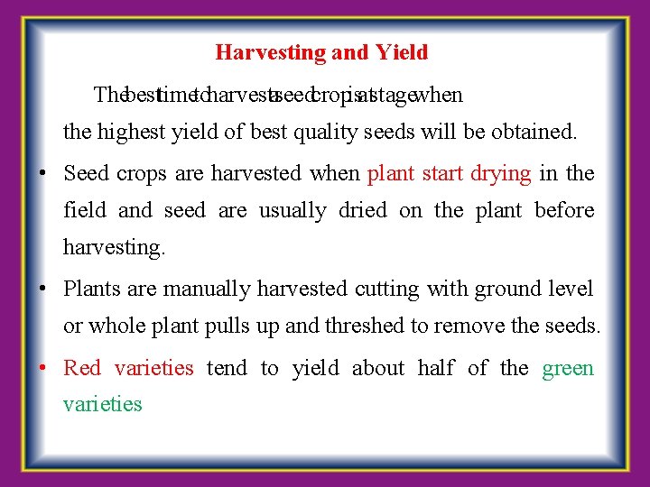  Harvesting and Yield The best time to harvest a seed crop is at