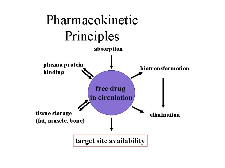 Pharmacokinetic Principles absorption plasma protein binding biotransformation free drug in circulation tissue storage (fat,