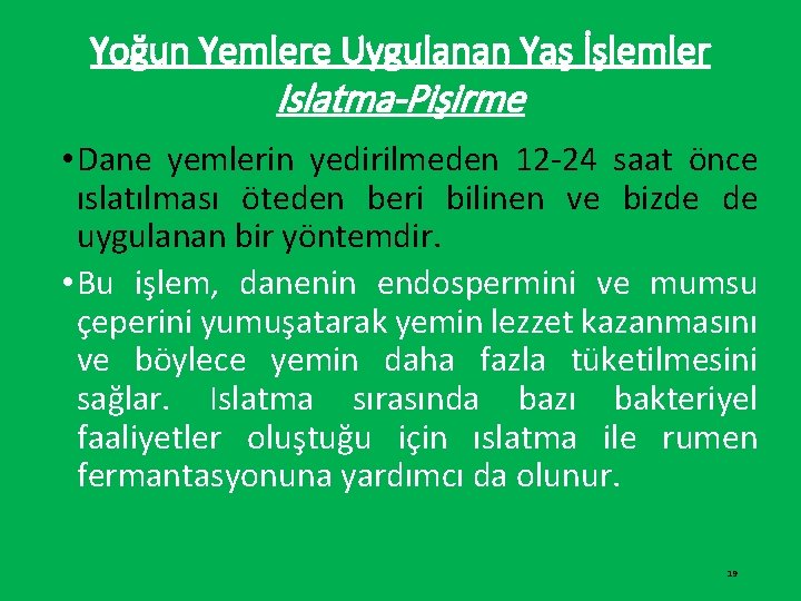 Yoğun Yemlere Uygulanan Yaş İşlemler Islatma-Pişirme • Dane yemlerin yedirilmeden 12 -24 saat önce