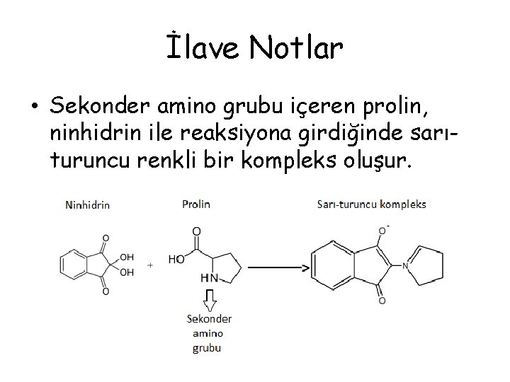 İlave Notlar • Sekonder amino grubu içeren prolin, ninhidrin ile reaksiyona girdiğinde sarıturuncu renkli