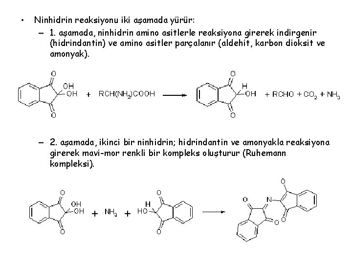  • Ninhidrin reaksiyonu iki aşamada yürür: – 1. aşamada, ninhidrin amino asitlerle reaksiyona