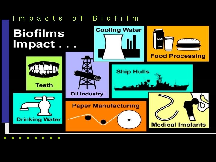 I m p a c t s o f B i o f i