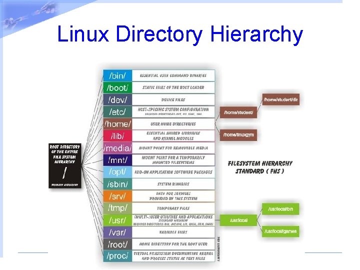 Linux Directory Hierarchy 