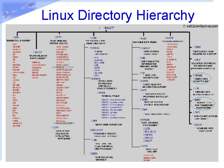 Linux Directory Hierarchy 