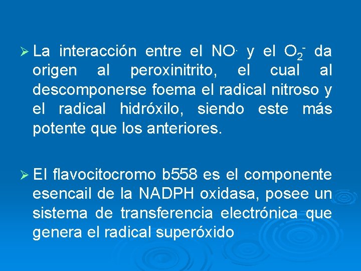 Ø La interacción entre el NO. y el O 2 - da origen al
