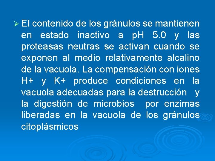 Ø El contenido de los gránulos se mantienen en estado inactivo a p. H