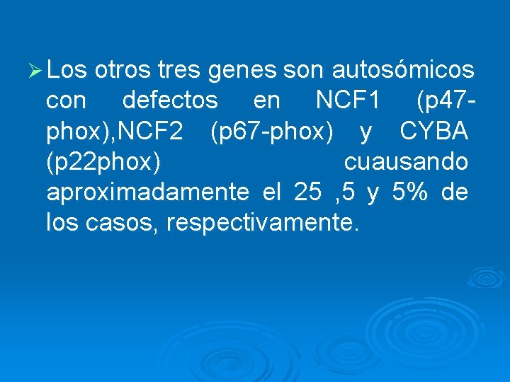 Ø Los otros tres genes son autosómicos con defectos en NCF 1 (p 47