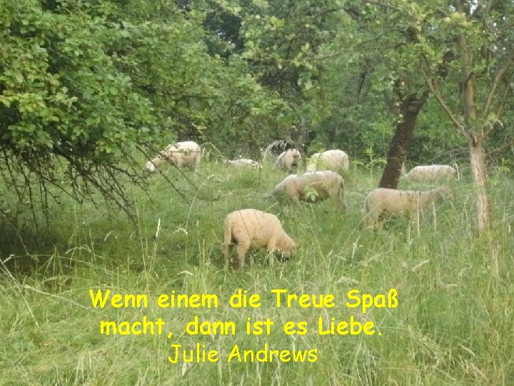 Wenn einem die Treue Spaß macht, dann ist es Liebe. Julie Andrews 