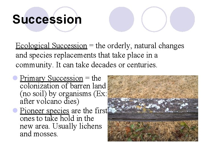 Succession Ecological Succession = the orderly, natural changes and species replacements that take place Succession Ecological Succession = the orderly, natural changes and species replacements that take place