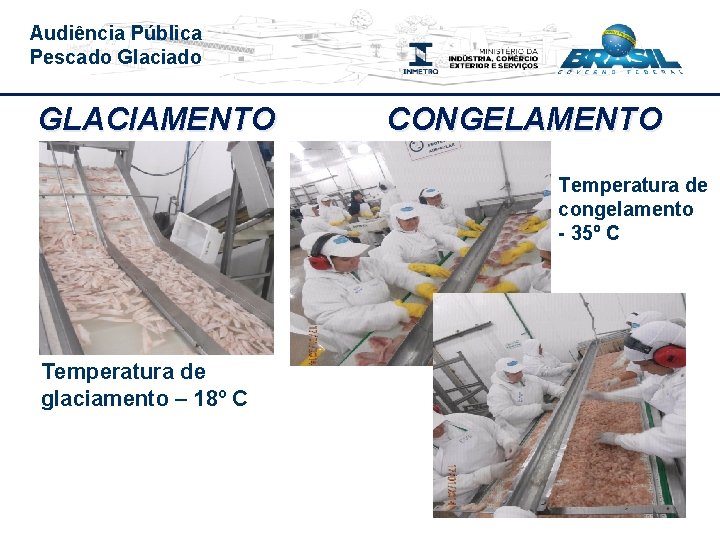 Audiência Pública Pescado Glaciado GLACIAMENTO CONGELAMENTO Temperatura de congelamento - 35º C Temperatura de