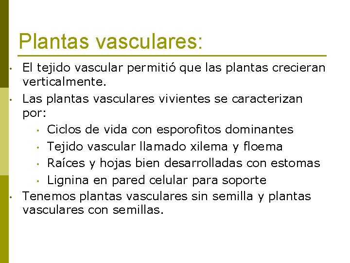 Plantas vasculares: • • • El tejido vascular permitió que las plantas crecieran verticalmente.