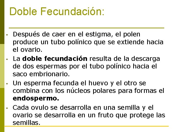 Doble Fecundación: • • Después de caer en el estigma, el polen produce un