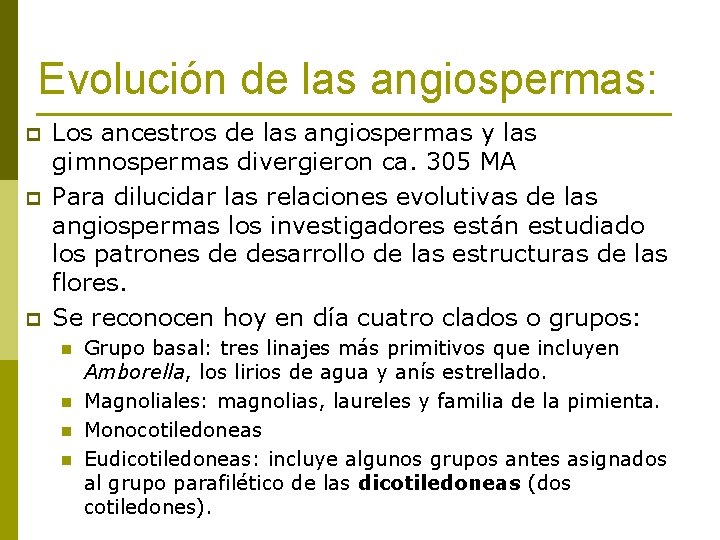 Evolución de las angiospermas: p p p Los ancestros de las angiospermas y las