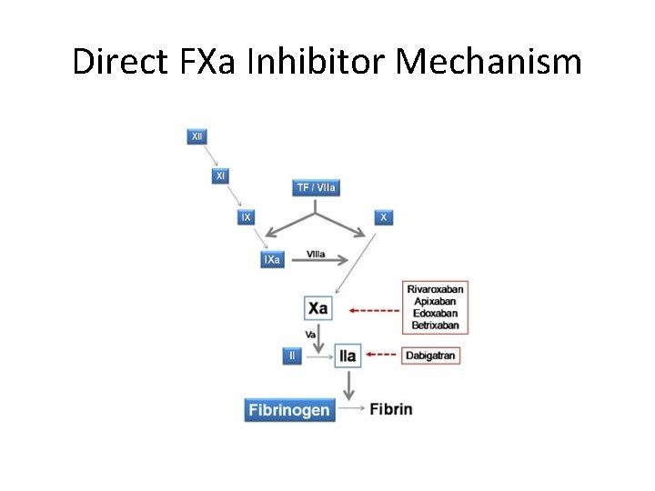 Direct FXa Inhibitor Mechanism 