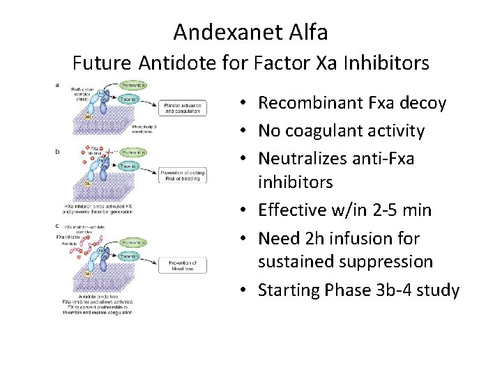 Andexanet Alfa Future Antidote for Factor Xa Inhibitors • Recombinant Fxa decoy • No