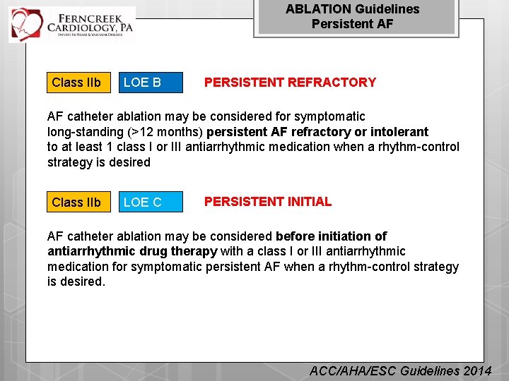 ABLATION Guidelines Persistent AF Class IIb LOE B PERSISTENT REFRACTORY AF catheter ablation may