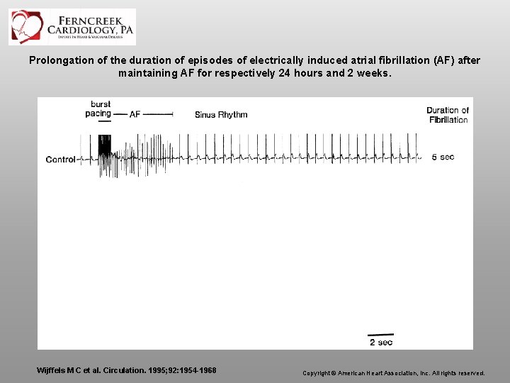 Prolongation of the duration of episodes of electrically induced atrial fibrillation (AF) after maintaining