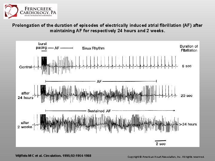 Prolongation of the duration of episodes of electrically induced atrial fibrillation (AF) after maintaining