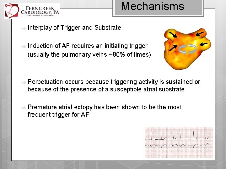 Mechanisms Interplay of Trigger and Substrate Induction of AF requires an initiating trigger (usually